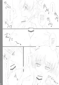 (C76) [THE FLYERS (Naruse Mamoru)] 20090815 (Saki)