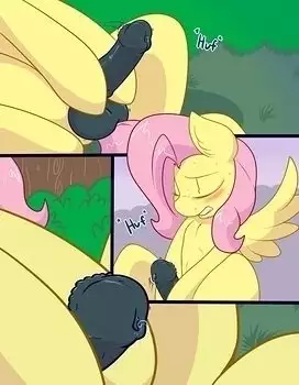 Futashy
