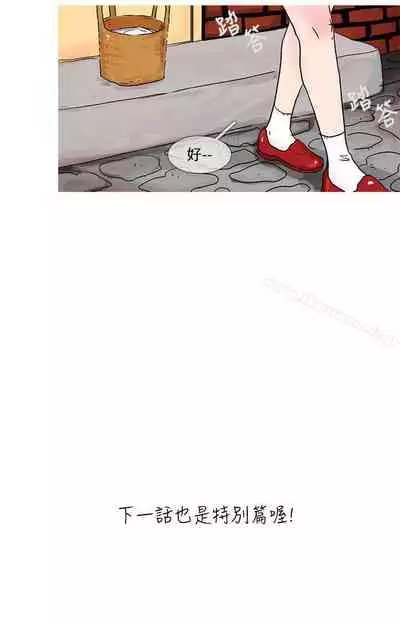 小野貓馴服手冊