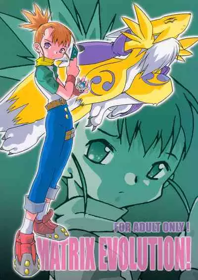 Matrix Evolution!