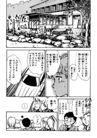 [Shibata Masahiro] Nano Sector