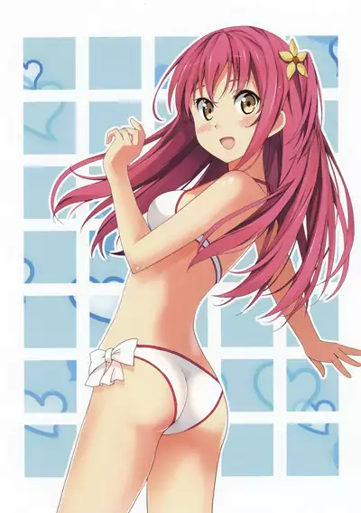 Toranoana Chronicle 2012