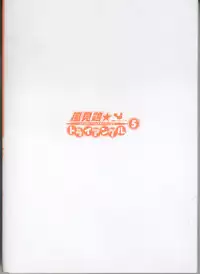 [Sano Takayoshi] Kazamidori Triangle 5