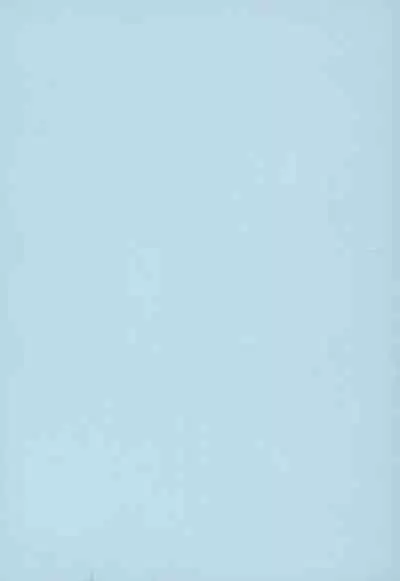 Himi no Otona Sekkusu