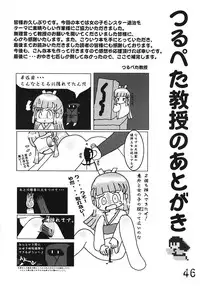 Tsurupeta Kenkyuusho Houkokusho