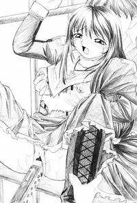 (CR29) [Tange Kentou Club (Various)] Fleurs de Cerisier (Sakura Taisen)