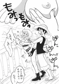 [Ginmomodou (Mita Satomi)] Koukai Nisshi DX (One Piece)