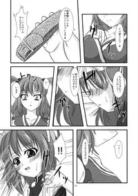 [Endless Requiem] 主従反転 (Touhou)