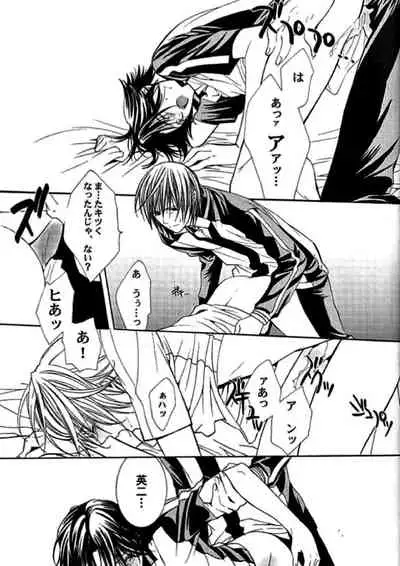 [E-PLUS (Mikoto Aogiri)] ROSE and HONEYCOMB (The Prince of Tennis)