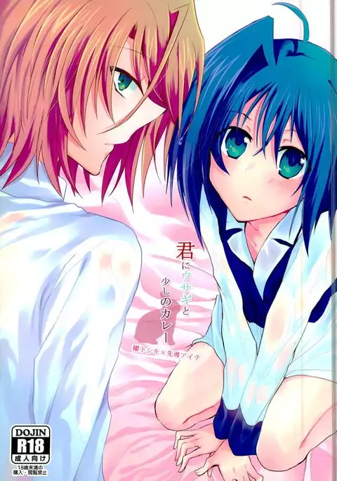 Kimi ni Usagi to Sukoshi no Curry