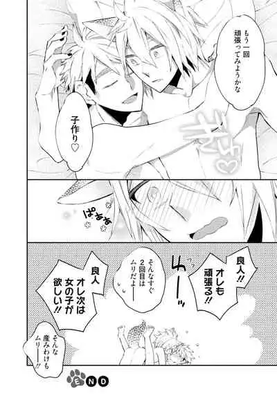 Wolves and Erotic Things