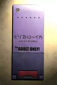 [Perestroika (Inoue Kiyoshirou)] Moeka's Gate (Steins;Gate) [English]