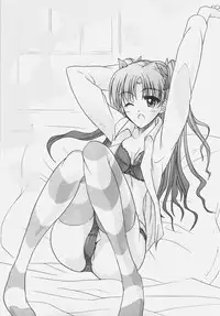 (SC31) [Yuzuriha (Aki, Poso)] Red and Red (Fate/stay night)