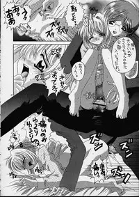 (CR29) [Yukimi Honpo (Asano Yukino)] Sakura (Card Captor Sakura)