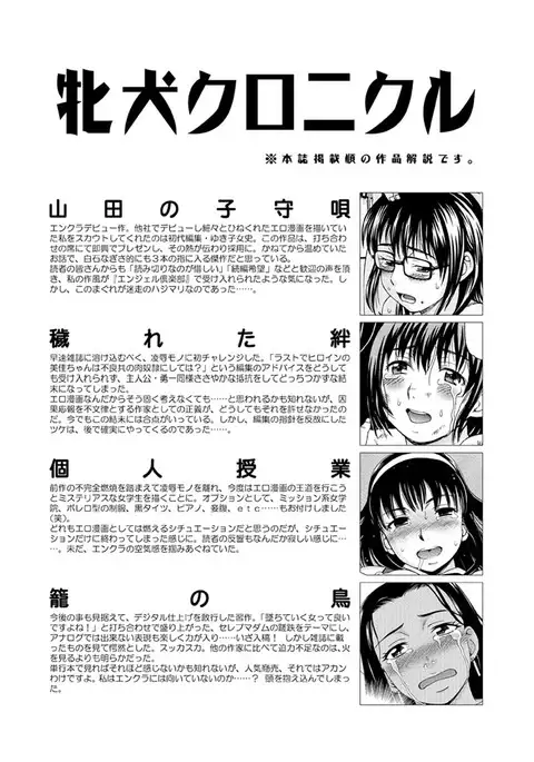 Mesuinu Catalog Choukyou Inpu