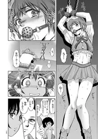 Kairaku Goumon Taizen