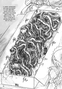 [Sumomo Dou (Sumomo EX)] Majo Gari | Witch Hunt (Various) [English] [J99814] [Digital]