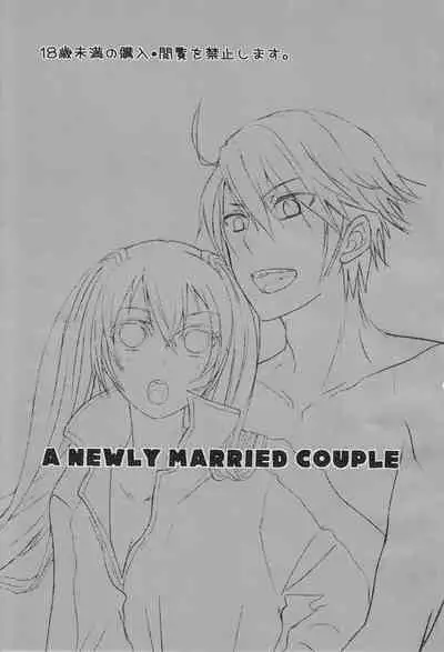 (C85) [drop:D (Beniko)] A Newly Married Couple (Fire Emblem Kakusei)