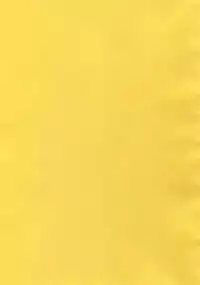 [CROCODILE-Ave. (Gangstar Yoshio)] MegaGra 2 Jakoru Ookami (Gravitation)