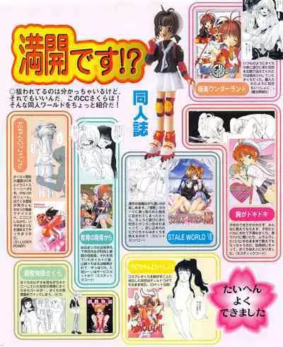 Kouryaku Dennou idol Vol.1 (May 1999)