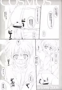 (C71) [Lili Marleen (Kinohara Hikaru)] COSMOS (Mahou Shoujo Lyrical Nanoha)