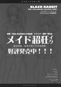 (C85) [Alemateorema (Kobayashi Youkoh)] GARIGARI 57 (Touhou Project)