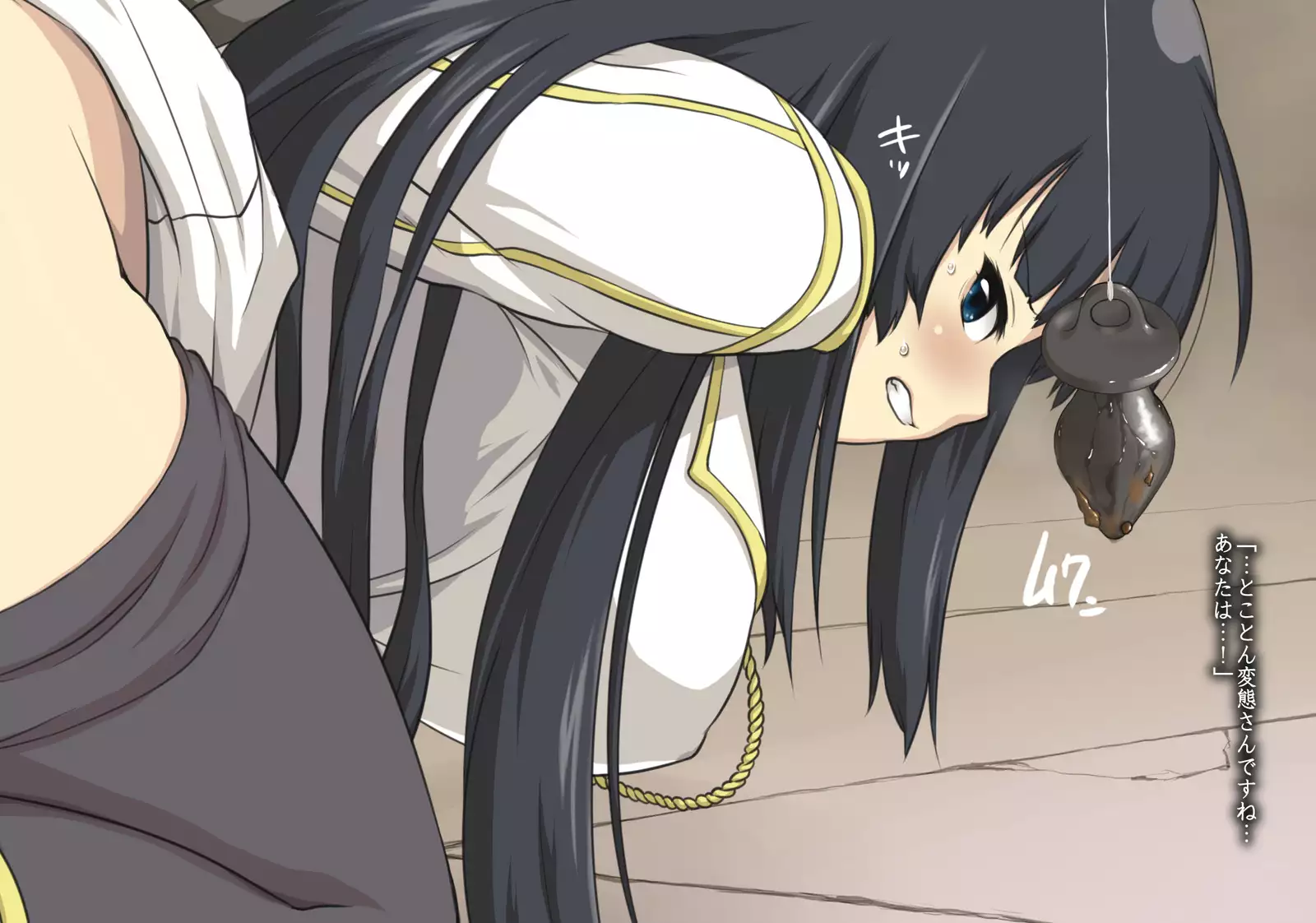 Ikaruga-san 2