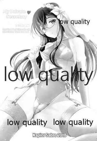 My Private Secretary