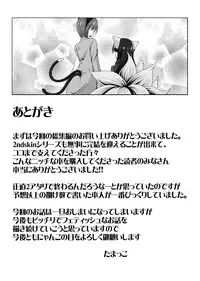 [Nyanko no Me (Tamakko)] 2nd Skin Soushuuhen (Touhou Project) [Digital]