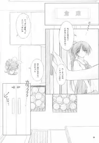 (CR34) [OTOGIYA (Mizuki Haruto)] Dengeki Moreoh (SNOW & With You ~Mitsumete Itai~)