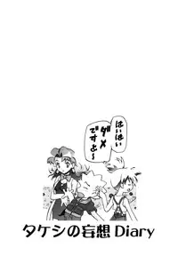 (C80) [Gambler Club (Kousaka Jun)] PM GALS Soushuuhen (Pokemon)