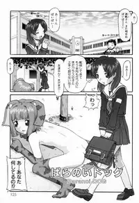 [SOFTCHARM] WONDER SQUARE