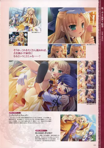 Shin Koihime Musou -Otome Ryouran Sangokushi Engi- Perfect Visual Book