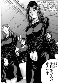 [Jamming] Boku Gentei Bakunyuu Harem (Japanese)