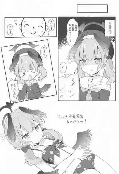 Koharu to Himitsu no Tokubetsu Gasshuku