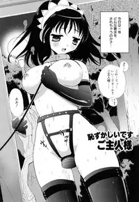 [Kojima Saya] Kakusei in Maid