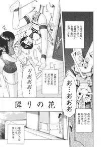 [Oyster] Shoujo Jigoku IV - The Mädchen Hölle IV