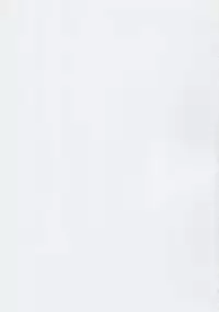 (C88) [RUBBISH Selecting Squad (Namonashi)] RE22 (Fate/Stay Night) [Chinese] [无毒汉化组]