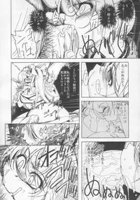 (C71) [Xration (mil)] Maji Love 2 (Ragnarok Online)