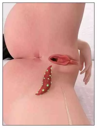 Final Vacation Vol.2