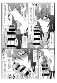(C85) [STUDIO TRIUMPH (Mutou Keiji)] Astral Bout Ver. 27 (IS <Infinite Stratos>)
