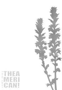 [odin (Kurokawa IZUMI)] CUTE GIRL! THE AMERICAN! (Kantai Collection -KanColle-)