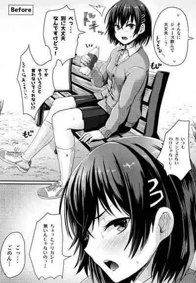 Shishunki Marudashi! Toranoana Gentei 8P Leaflet