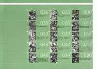 [Nishieda] Dendrobium