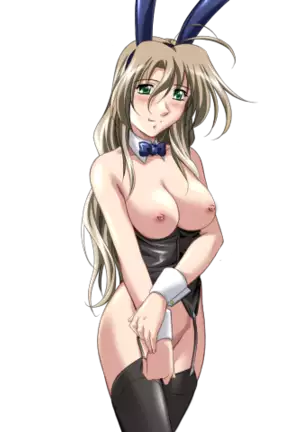 Do You Like Horny Bunnies? 2 (decensored)