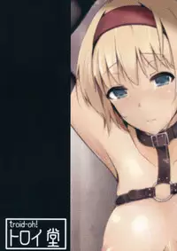 (Reitaisai 11) [Troid-oh (Jax2o)] Alice Kuzushi (Touhou Project)