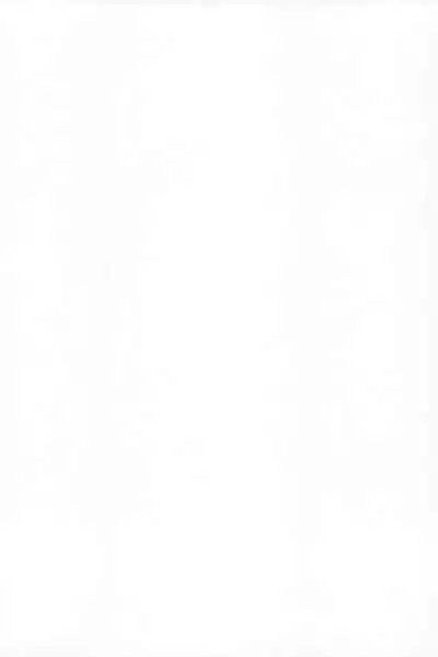 Shinka Yuetsu no Seidorei Denwa Box