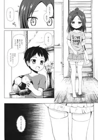 [Noraneko-no-Tama (Yukino Minato)] Owari no Nikkichou [Digital]