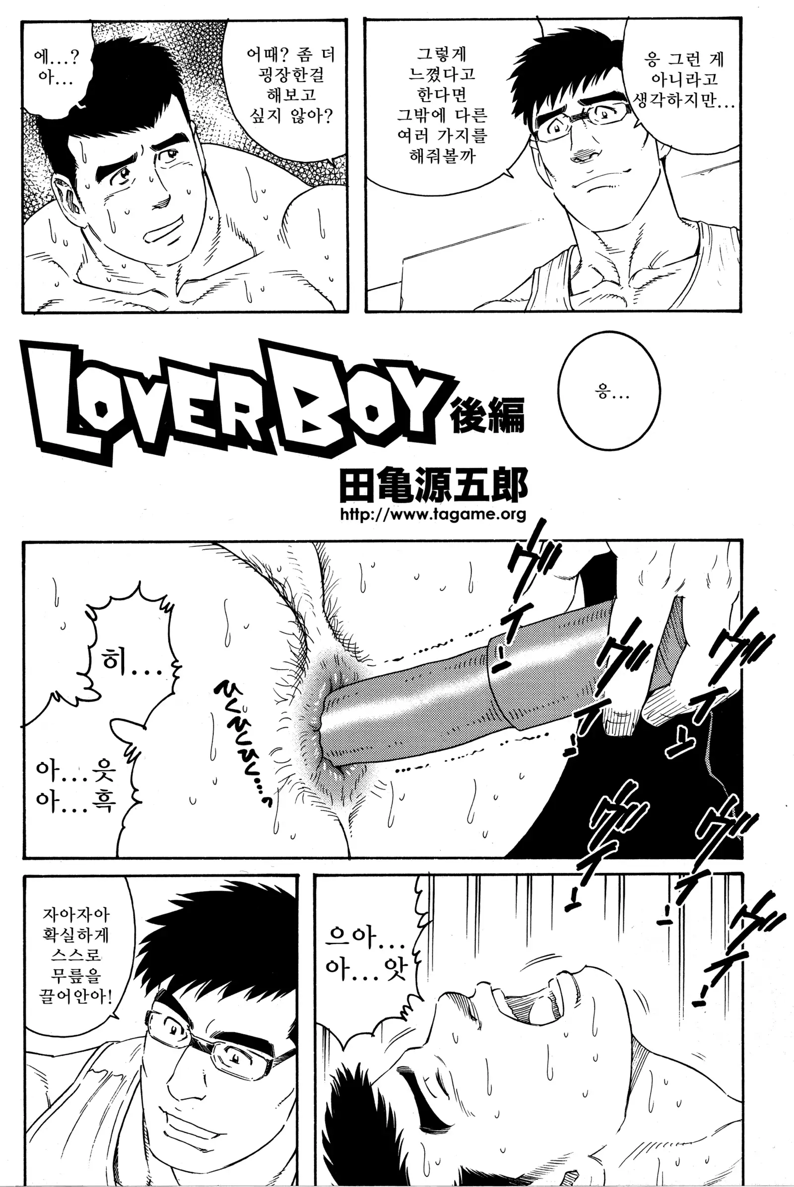 LOVER BOY - Another Translation Version