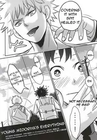 (C88) [VACIO (Amatoya)] Midoritani Shounen no Subete (My Hero Academia) [English]